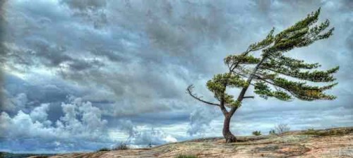 The winds of change (part1)