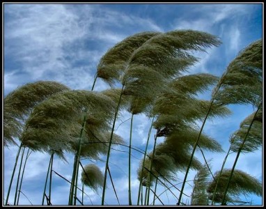 The winds of change (part2)