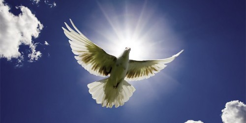 The work of the holy spirit