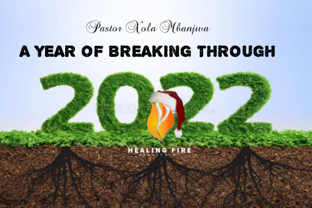 A year of breaking through