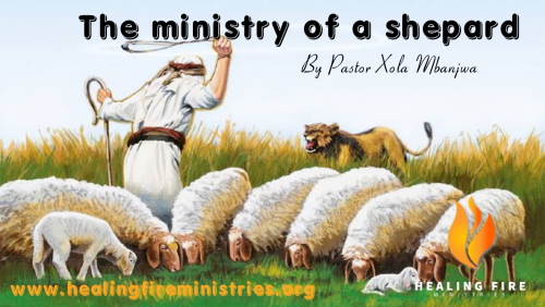 The ministry of a shepard