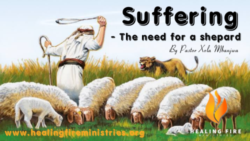 The ministry of a shepard - The need for a shepard