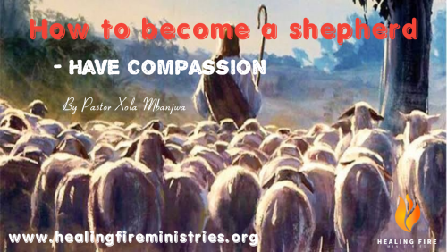 How to become a shepherd - Have Compassion