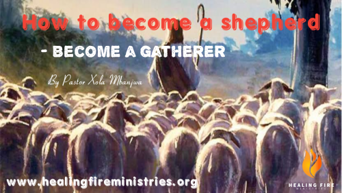 How to become a shepherd