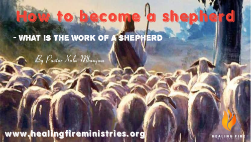 How to become a shepherd - What is the work of a shepherd